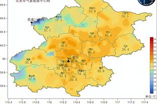 内维尔：霍伊伦是一枚待打磨的钻石，他和努涅斯一样缺乏冷静